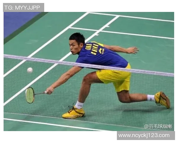 南京羽毛球队整体压制战术解析与实战应用探索